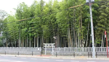 八幡の藪知らずの謎？神隠し伝説と現代の姿を探る旅禁足地「八幡の藪知らず」：都市伝説、現代の管理、そして謎