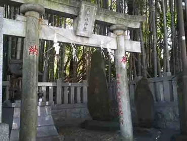 八幡の藪知らず