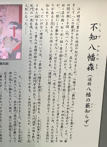 禁足地巡り】入ったら二度と出られない?平将門絡み?ネットで恐れられる「八幡の藪知らず」の意外な正体千葉県本八幡