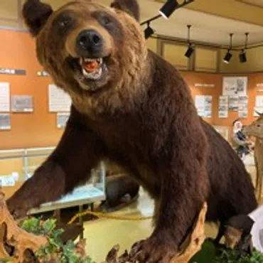 史上最悪の獣害「三毛別羆事件」人が殺された゛悲劇の地゛の今写真特集