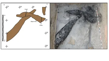 世界最古の木造建築物の痕跡がザンビアで発見される