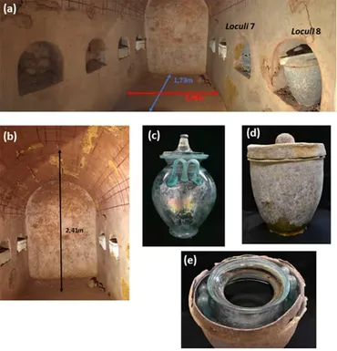 2000年前のワイン、古代ローマ時代のワイン文化とは？（ワイン、古代ローマ、ドリウム？)世界最古のワイン発見！古代ローマのワイン事情