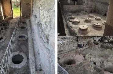 古代ローマ人が愛したワインの風味が判明!スパイシーで焼きたて