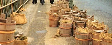 №136貴重な屎尿役場市役所四十二年