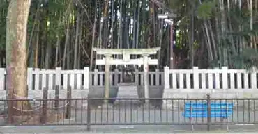 八幡の藪知らず