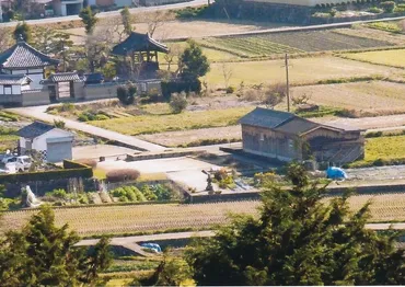 新版大化改新』/遠山美都男インタビュー
