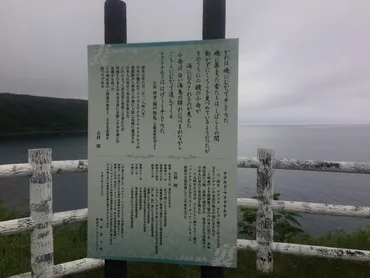 ラナルド・マクドナルドとペリー来航: 日本開国への秘められた道筋を探る？ラナルド・マクドナルド:知られざる日米交流のパイオニア