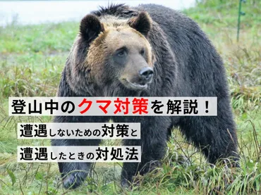 登山中のクマ対策を解説!】登山中に遭遇しないための対策と遭遇時の対処法