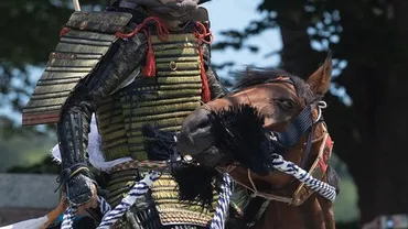 平安時代最大の対外危機「刀伊の入寇」。400人以上が拉致、対馬・壱岐は壊滅状態に…『光る君へ』で竜星涼さん演じる藤原隆家 は来襲した＜賊徒＞をどう迎撃したのか（2024年11月25日）