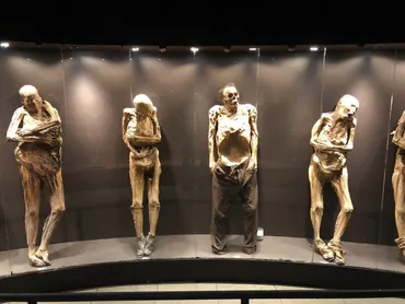 グアナファトのミイラ博物館：死と文化と倫理？グアナファトのミイラ博物館：謎多きミイラたちの物語