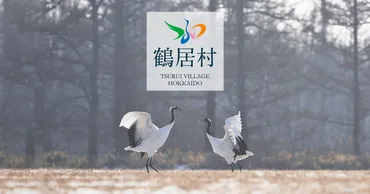戦没者等のご遺族の皆様へ第十二回特別弔慰金の請求受付が開始されました/鶴居村