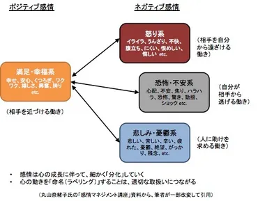 感情のマネジメントとは、どういう事を指すのかタイム・コンサルタントの日誌から