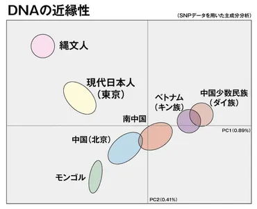 から解明される日本人の起源–日本とユダヤのハーモニー&古代史の研究