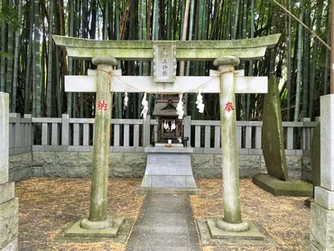八幡の藪知らずの謎？ 禁足地「八幡の藪知らず」の歴史と現代への影響とは？千葉県市川市に現存する禁足地「八幡の藪知らず」の知られざる歴史