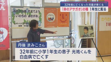 新潟テレビ