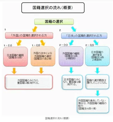 日本でも二重国籍、実は認められている?