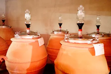 ワイン発酵容器の先祖返りアンフォラの秘密を探る！
