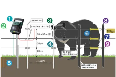 クマ 対策】被害を防ぐ方法は?電気柵は効果がない?正しい知識と対策方法を知ろう