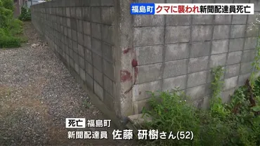 ヒグマの脅威と対策：北海道福島町での事件から学ぶ(？)福島町ヒグマ襲撃事件と過去の教訓