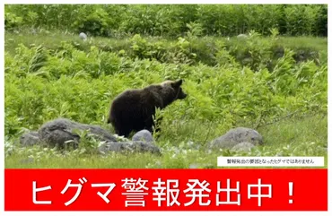 1分で解説>北海道が初の「ヒグマ警報」 福島町市街地で男性死亡(毎日新聞)