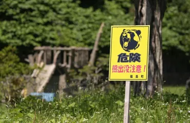 小さなマチ、クマに苦慮 福島町死亡事故 人手不足で周知や駆除後手に 広域連携が急務