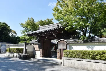 『光る君へ』一条天皇が躊躇した、藤原道長が権力の階段を駆け上がれた裏事情