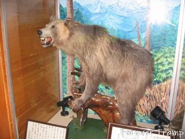 なぜ?」カムイエクウチカウシ山福岡大ワンゲル部ヒグマ事件の全貌