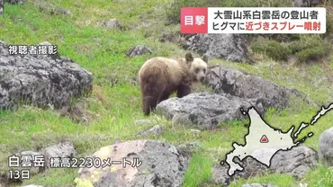 危険な行為】ヒグマに自ら近づきスプレー噴射、至近距離で写真撮影も「刺激する行為は非常に危険」大雪山系白雲岳にいた無謀な登山者