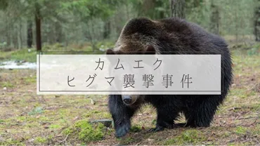 なぜ?」カムイエクウチカウシ山福岡大ワンゲル部ヒグマ事件の全貌
