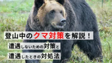 登山中のクマ対策を解説!】登山中に遭遇しないための対策と遭遇時の対処法