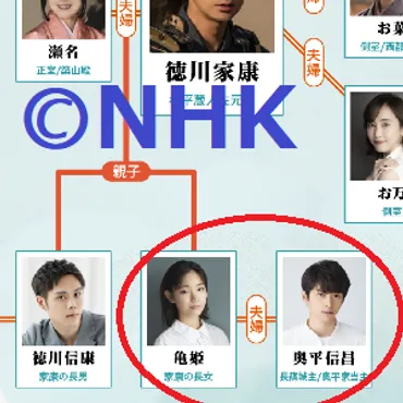 母親似の愛されキャラ?家康と瀬名の長女・亀姫(演:當真あみ)が女大名になるまで【どうする家康】