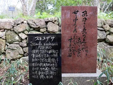 連続テレビ小説『らんまん』のモデル「牧野富太郎」が辿った生涯