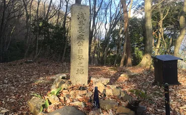 浅井長政の生涯~信義を重んじた武将の運命を分けた決断