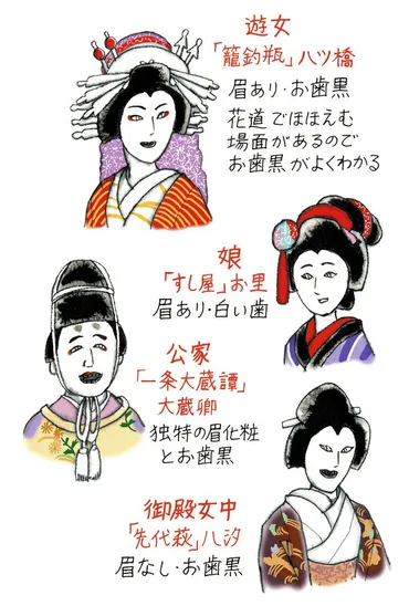 新かぶき彩時記＞お歯黒と眉 年齢と職業のアイコン：東京新聞デジタル