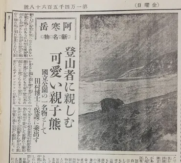 クマの登山者襲撃で知る、その生態
