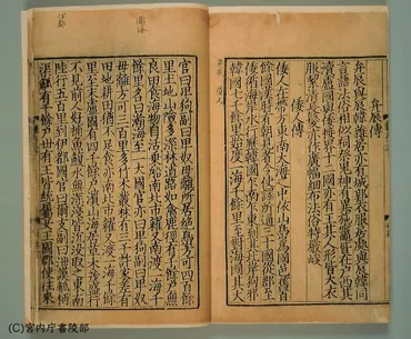 魏志倭人伝
