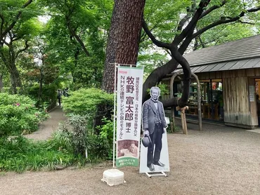 朝ドラ「らんまん」のモデル・牧野富太郎ゆかりの「牧野記念庭園」に行った感想
