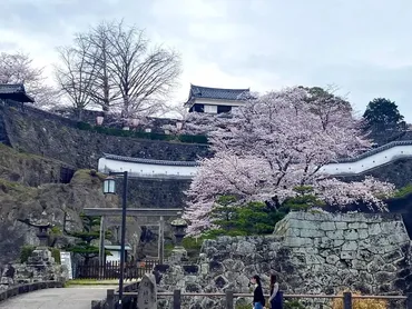 大友宗麟は大分県臼杵市で何をした人か?臼杵城跡の城下町や周辺をランチもしながらぶら歩きしよう!