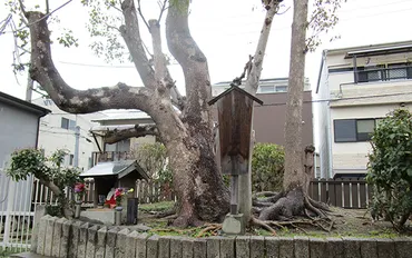 野里住吉神社「一夜官女祭」 – 西淀川・淀川健康友の会