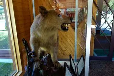 なぜ秘境の山で学生たちはヒグマの標的に? 日本を震撼させた50年前の福岡大ワンゲル部ヒグマ事件を追う【第1回】