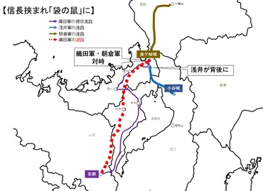 姉川の戦い】血で血を洗った合戦とは?合戦の布陣や経緯・場所をかんたん解説!長政とお市のその後…?