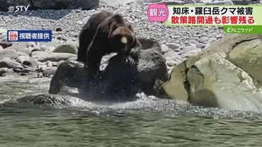 エサ不足が深刻化か クマが登山客を襲撃 警戒強化も「世界自然遺産」登録後初の被害 知床観光にも影響