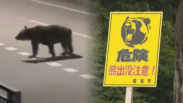 クマに襲われる恐怖「かじられているのが分かった」住宅街での対策に新たな課題 配達員死亡から1か月