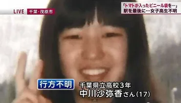 茂原市女子高生失踪事件の真相は？未解決事件の謎に迫る（？）77日間の空白と神社の謎：中川沙弥香さん失踪事件