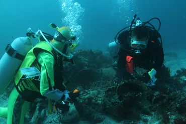 水中遺跡調査の一連の流れを網羅的に解説『水中遺跡ハンドブック』PDF版公開!