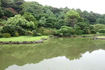 らんまん」田邊教授のトガクシソウ(戸隠草) 植物学教室「破門草事件」の引き金に?