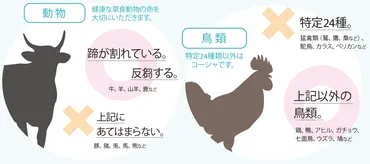 コーシャとは?