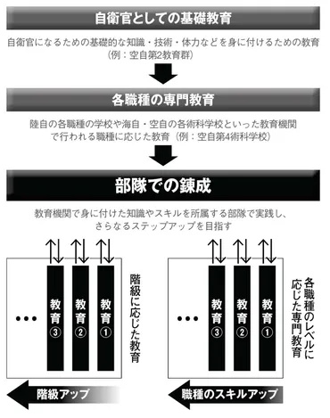 自衛隊教育の全貌：人材育成と日米共同訓練とは？自衛隊の教育システムと日米共同訓練