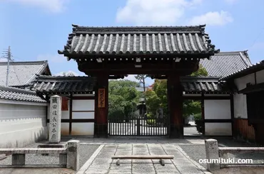 織田信長の幻の弟「清玉上人」とは(阿弥陀寺) – 京都のお墨付き!