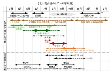 Basic/ヒグマの食性と年周期